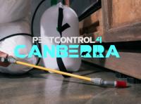 Spider Control Canberra image 6
